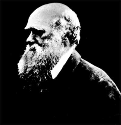 Джулия Маргарет Камерон. Портрет Чарльза Дарвина. 1869 год.