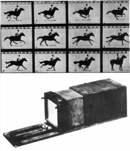 Эдвард Мьюбридж. Лошадь в движении. 1878 год. Использовалось 12 таких камер