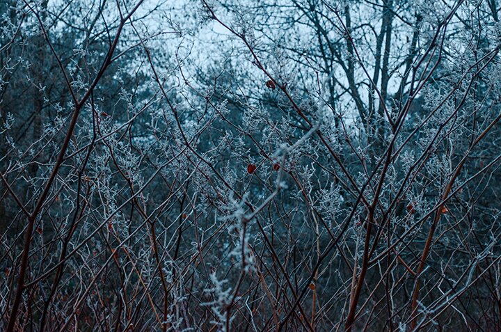 Косинов Василий, Киев, Nikon D5100, Nikkor 18-55mm VR(kit), F3.5-5.6g, @F8, 1-60, ISO 1000, Lightroom, Photoshop