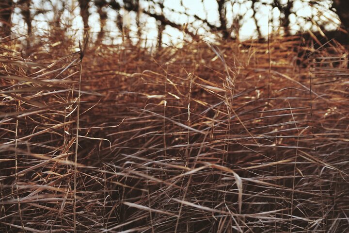 Снигирёв Артём, Невинномысск, Canon EOS 650D, Sigma 18-50mm, Snapseed, VSCOcam, instagram.com-bytema