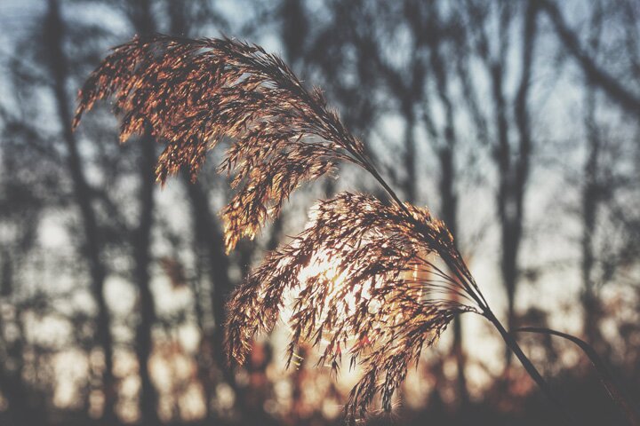 Снигирёв Артём, Невинномысск, Canon EOS 650D, Sigma 18-50mm, Snapseed, VSCOcam, instagram.com-bytema