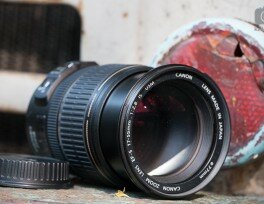 Обзор светосильного стандартного зума Canon EF-S 17-55mm F2.8 USM IS